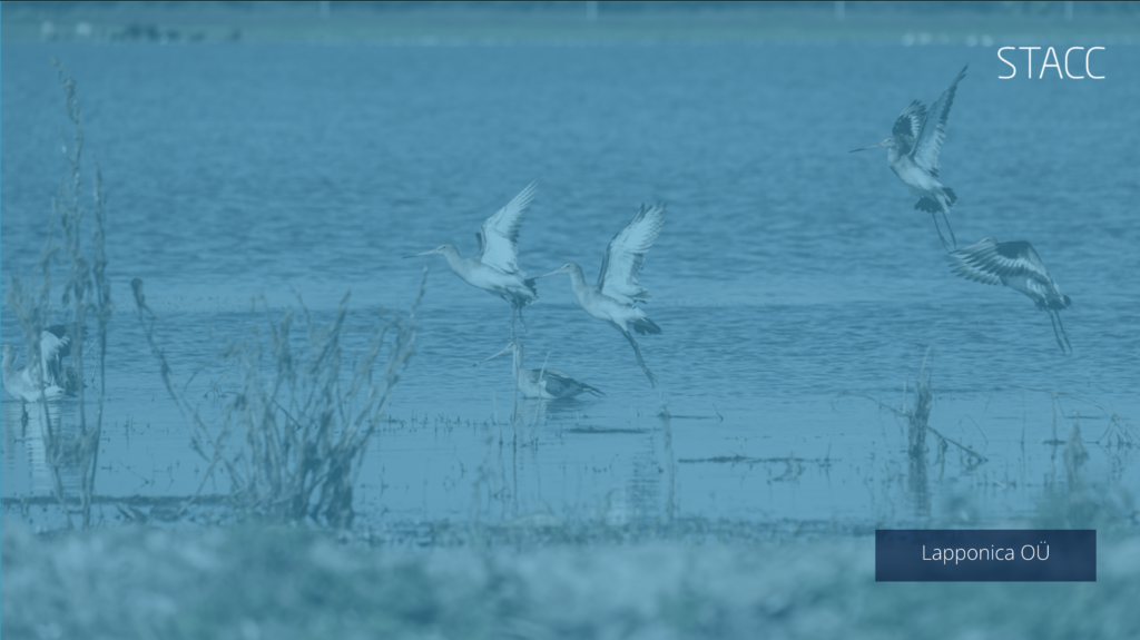 Do you want to know which bird is singing outdoors? Lapponica – bird song identification app will help you!