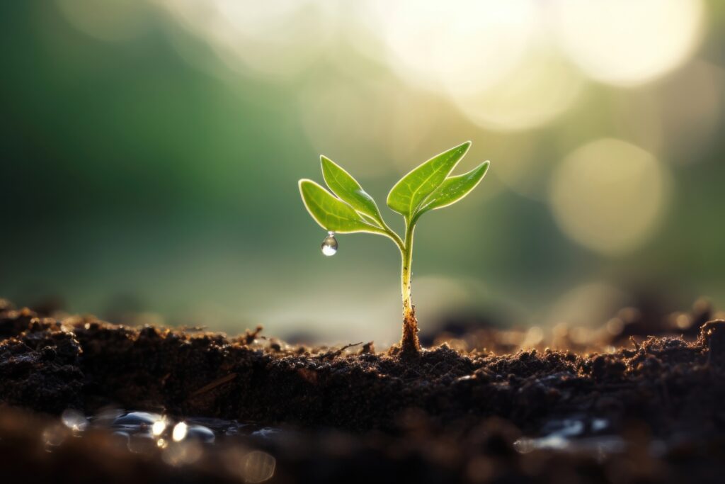 Predicting Soil Temperatures with Meteorological and Remote Sensing Data